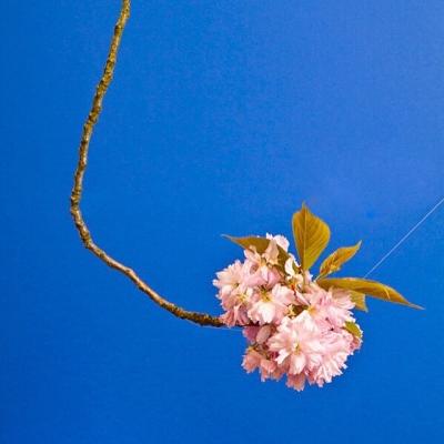 image33~6.jpg