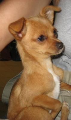 image78~4.jpg