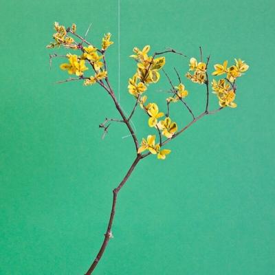 image32~7.jpg