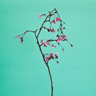 image34~6.jpg