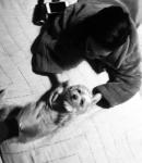 image139~3.jpg
